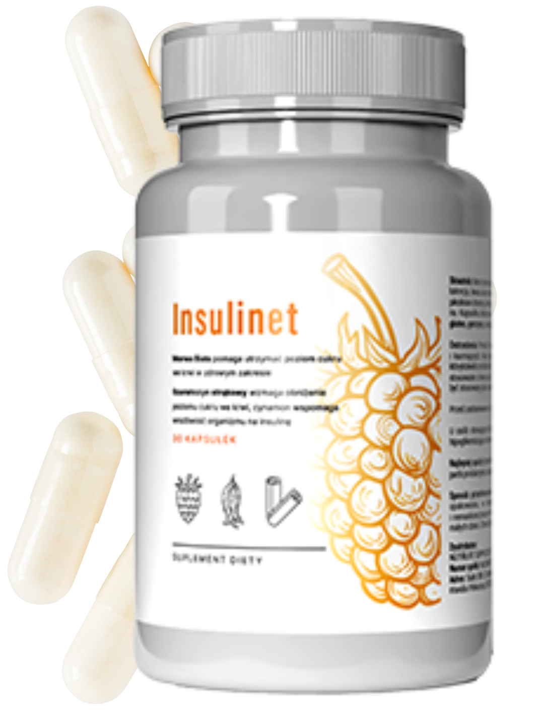 Insulinet O que é?